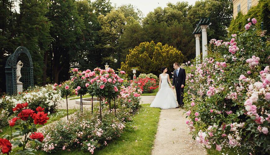 a-bride-and-a-groom-walk-in-the-garden