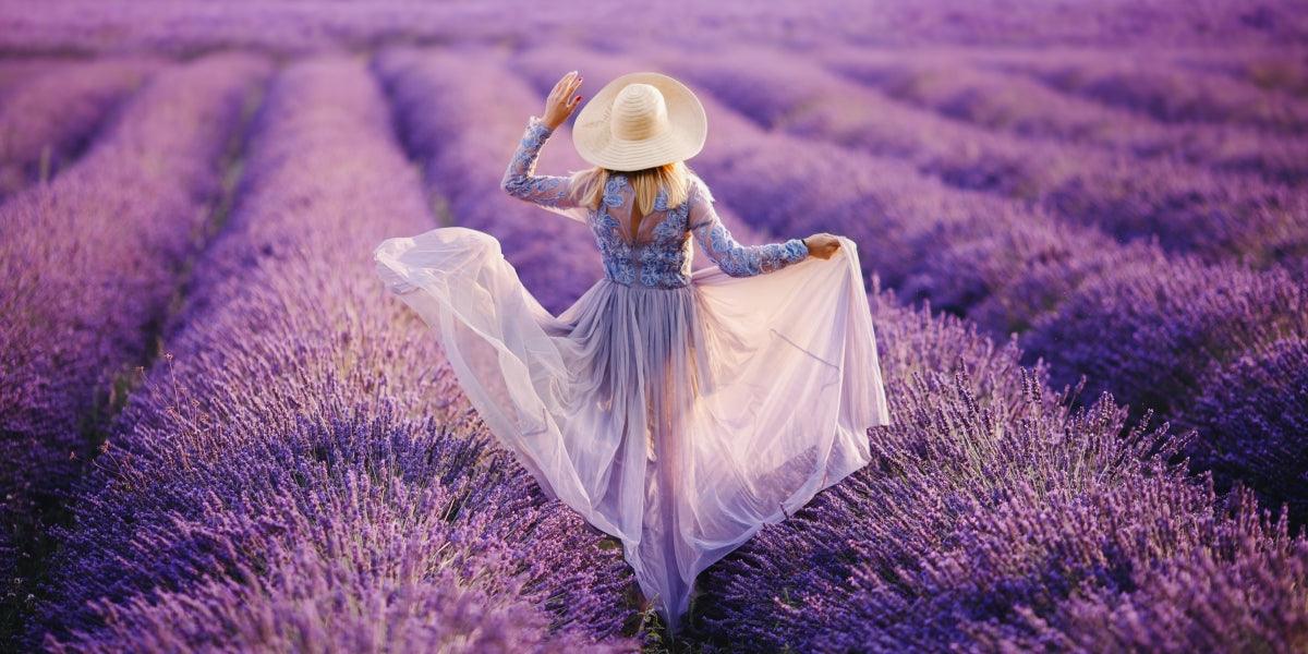 lavender-products